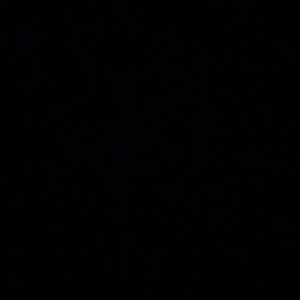 Meet your Posher, Elijah